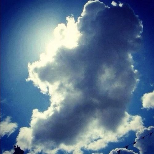 hanlon_les's profile picture. 