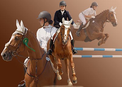 Ute_Dueerkop's profile picture. 