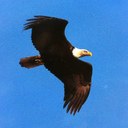 Dave Stillings - @Washi141 - Twitter