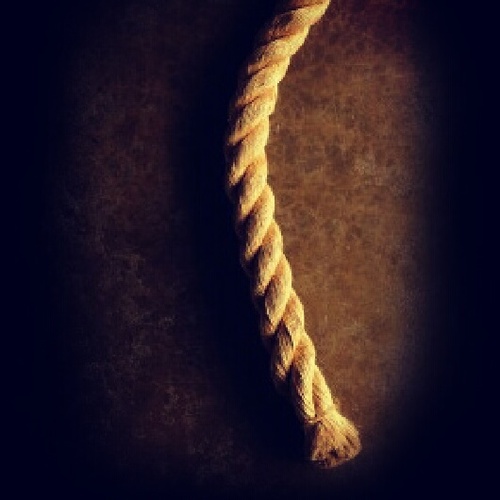 loli_aguacate's profile picture. Bollozorrón. Psicología intransigente. De naturaleza stalker. Adicta a los golpes. En invierno retozo en el barro.