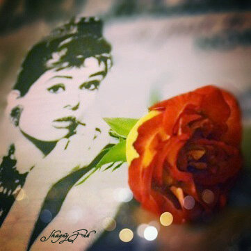 تبقىّ بـ♡ سَيدھ ۆ أقربْ النِاسّ. . .