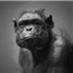 Andrii (@kakogofiga) Twitter profile photo