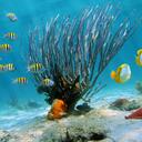 Abby Reed - @AbbyReed18 - Twitter