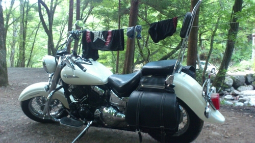 puranori415's profile picture. 365日バイク漬け！？