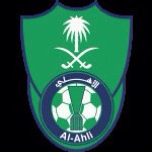 مجنون من ضمن المجانين الاهلاويه