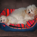 Jemma adams - @JemmaJjadams81 - Twitter