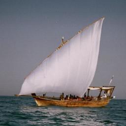دبي_الامارات