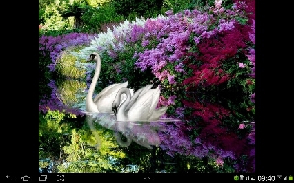 سبحان الله وبحمده