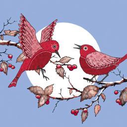 Hipster Spinster Profile