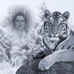 masiic1's profile picture. 