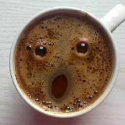 qQBrKnsQq's profile picture. 