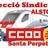 ccooalstom's profile image