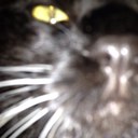 liam schmidt - @liamlts - Twitter