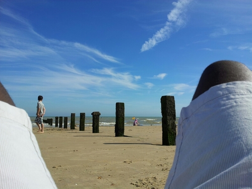 sokrispypete's profile picture. 