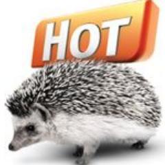 Самый весёлый и удобный портал о недвижимости hotpro.ua. Вся недвижимость Киева и Украины! #kiev, #ukraine