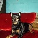 Will west - @Willwest001 - Twitter