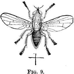 OedipPiaf's profile picture. Experimental stuff'n'roll band.