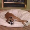 karen sharp - @kcsharpinla - Twitter