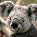 enzo daniel mazza - @enzodanielmazza - Twitter