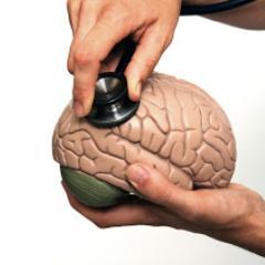 SecretHamster1's profile picture. Totally alone and housebound 24/365. Any real human contact would be a luxury. 

#mentalhealth  #MH #mentalillness 
100% Free Mental Health Support Forum.