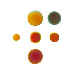 Check voor het laatste nieuws over fysiotherapie / behandel- en verzekeringsmogelijkheden de website van KNGF de Fysiotherapeut. Voor twitter: gebruik #fysio