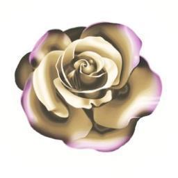 celebrate4life's profile picture. Celebrate Life with inspirational quotes, funny pictures and fun facts! Join us in celebrating life!