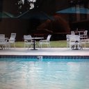 Eileen Morris - @Eileen2954 - Twitter