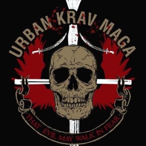 Urban Krav Maga instructor with classes in Crawley & new classes coming soon in Brighton. Private lessons & seminars-available @ any location