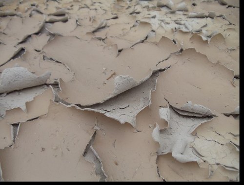 Dave Fermanich Profile