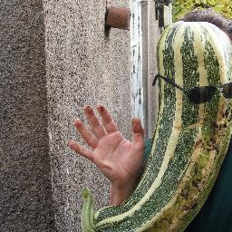 StarGardening Profile Picture