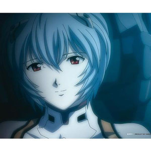Rei_Ayanami_Nr Profile Picture