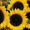 Cathryn Griffiths - @crazeekatlady21 - Twitter