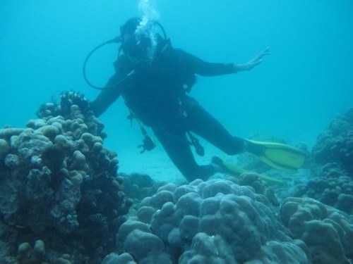 pionya_una's profile picture. masyarakat ekonomi menengah