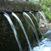 Dali (@elsalvador_dali) Twitter profile photo Dali (@elsalvador_dali) Twitter profile photo