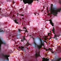 techgurl76's profile picture. 