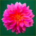 Photography Tricks and Tips (@hogsbackinfo) Twitter profile photo Photography Tricks and Tips (@hogsbackinfo) Twitter profile photo