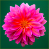 hogsbackinfo's profile picture. We love photography. Two comprehensive e-books on photography available.  https://t.co/crnFtvQrHL