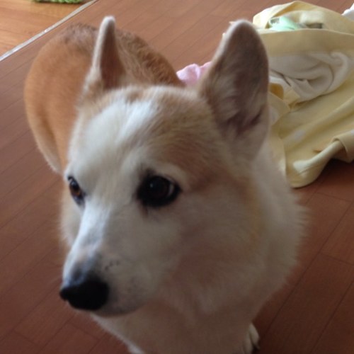 ryouatsu's profile picture. どこにでもいる人です。