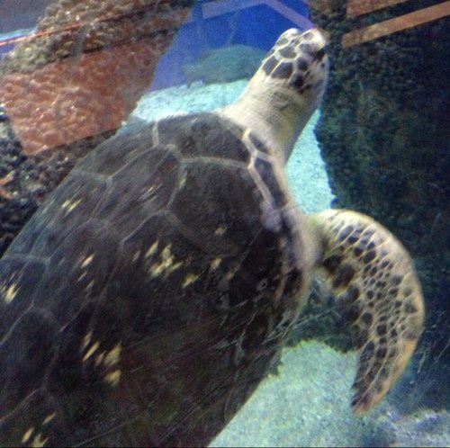 JFSkin's profile picture. 