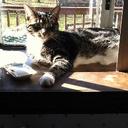 Pam Benton - @PamBenton1 - Twitter