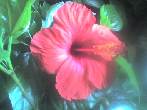 businessclass20's profile picture. Люблю и уважаю жизнь во всех ее проявлениях. Давно замужем. Мать двоих прекрасных взрослых детей!