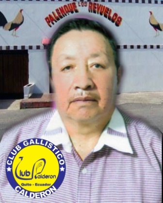 GALLERO