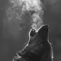 Максим Казань (@maxo_bes) 's Twitter Profile Photo