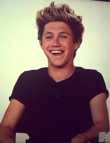 one direction. five fags. four british and one irish. all life ruiners.