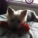 Evette smith - @smith_evette - Twitter