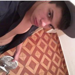 15, Palmeirense Leonino, Rock, Família, Amigos e Skate