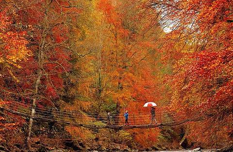 suebritton17's profile picture. 