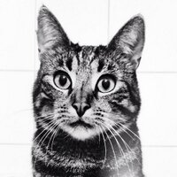 Dreihundknaeuel 💔 (@failknaeuel) Twitter profile photo