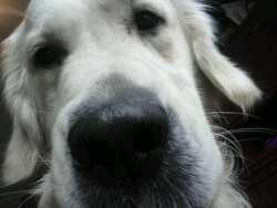 jeksa30's profile picture. Mum, Gymnastics Coach, Keen Baker, Avid Reader, Newbie Golfer and all round sucker for punishment