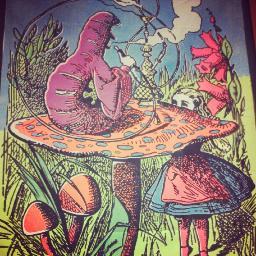 I'm 420 friendly #StonerNation, I talk a lot #BabyAnon, I'm #bisexual I love sex, and I'm a beautiful blunt bitch. :) #TeamFollowBack  -- #Capricorn